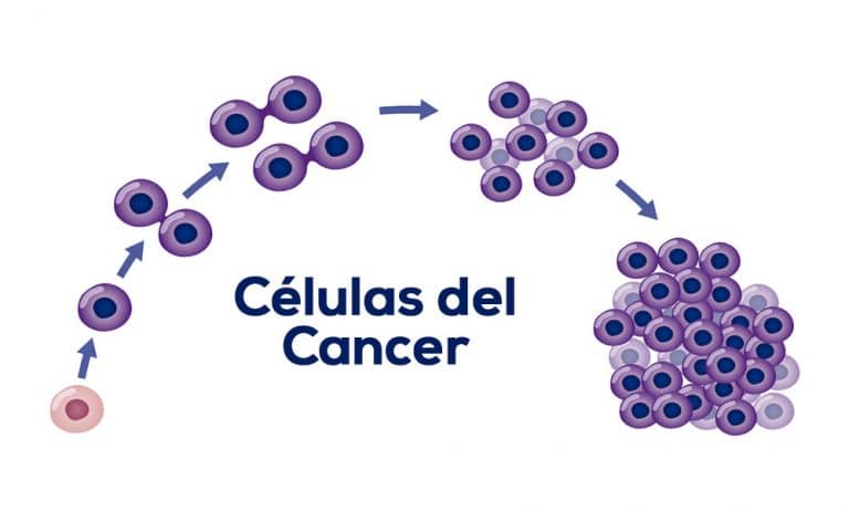 Identifican El Mecanismo Que Hace Que El Cáncer Cree Metástasis Noticias En Salud