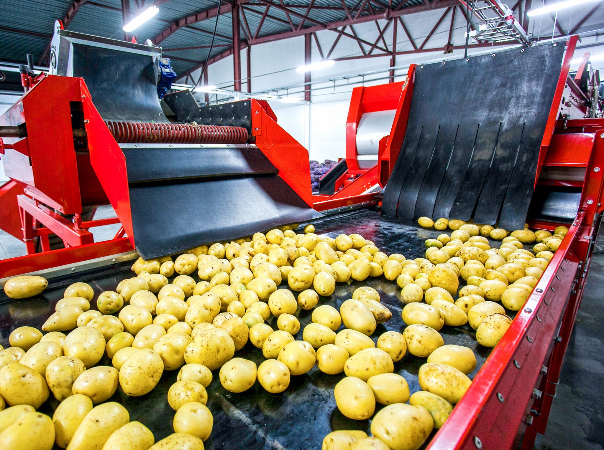  Por Qu Deber amos Evitar La Comida Procesada 