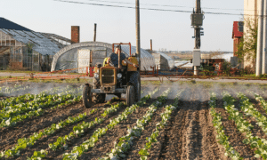 Gestión de residuos industria alimentaria