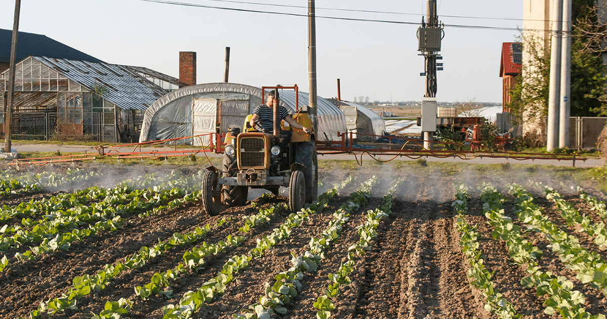 Gestión de residuos industria alimentaria